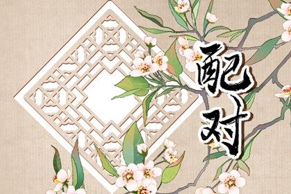 日干情缘与天干五合